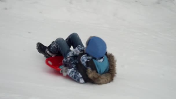 プラスチックのそりで雪に覆われた丘を滑り降りて氷の上に落ちるスリルを楽しむ若い男の子 冬の季節の完璧な描写と子供たちはクリスマス休暇中に楽しんでいます — ストック動画