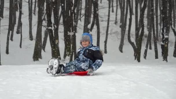 Wesoły Młody Chłopiec Zjeżdża Śnieżnym Stoku Czerwonych Plastikowych Sankach Jego — Wideo stockowe