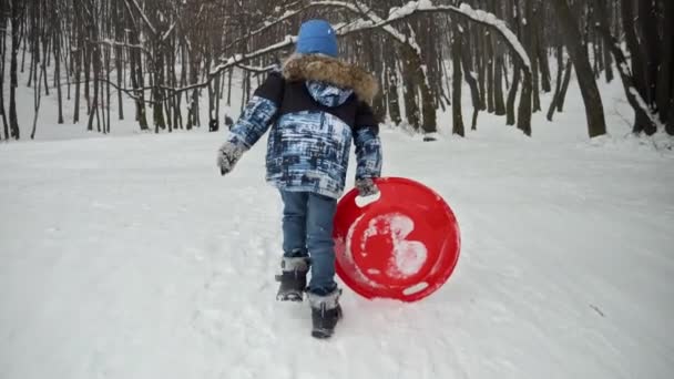 Happy Smiling Boy Carrying His Plastic Sleds Snowy Hill Snowfall — Stock Video