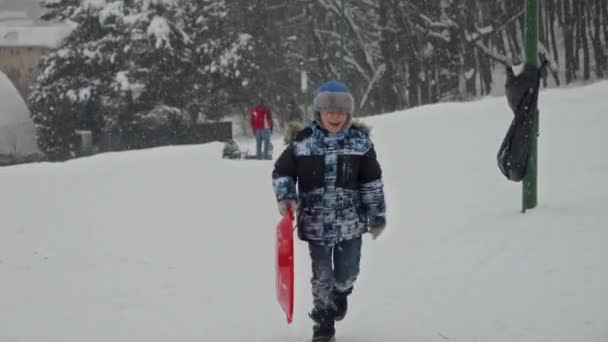 Uśmiechnięty Chłopiec Plastikowymi Saniami Biegający Zaśnieżonym Wzgórzu Płatkami Śniegu Wokół — Wideo stockowe