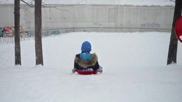 少年はプラスチックのそりで雪に覆われた斜面をスピードダウンした 冬の喜びと野外劇から来る幸せ — ストック動画