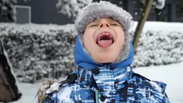 Portret Van Een Vrolijke Lachende Jongen Die Vallende Sneeuwvlokken Vangt — Stockvideo