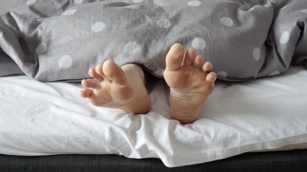 Närbild Kvinnliga Fötter Ligger Sängen Och Visar Från Filten Begreppet — Stockvideo