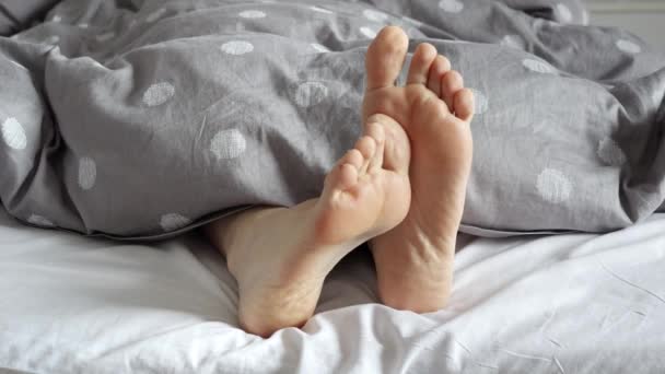 居心地の良いベッドの上の毛布の下から見える女性に属する足のペアの遅い動きを閉じます 静かで快適なライフスタイル — ストック動画