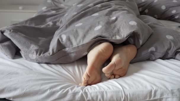 暖かい毛布の下から出てくる女性の足 彼女は彼女の体を調整し 残りの平和的な一日の準備として — ストック動画