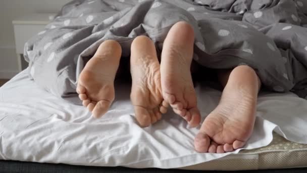 Bir Çift Ayaklarının Birbirine Dolanmış Görüntüsü Yatakta Yatarken Tembel Bir — Stok video
