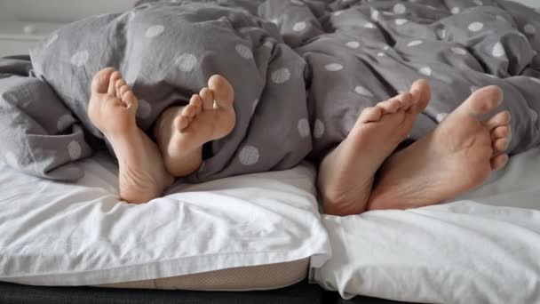 ベッドの上の毛布の下にカップルの足のクローズアップショットは 背景に優しく移動します 快適さ 親密さ リラクゼーションの概念 — ストック動画
