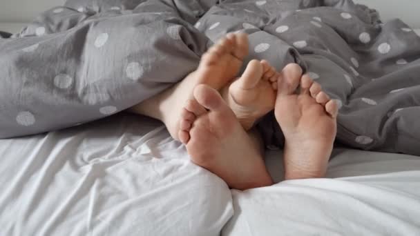 男男女女的脚舒舒服服地躺在柔软的床上 从温暖的毛毯下顽皮地探出头来 慢动作特写镜头 在舒适的家庭环境中的爱 亲密和放松的概念 — 图库视频影像
