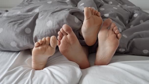 快適なベッドの上の毛布の下で一緒に絡まり合う男と女の足の遅い動きを閉じます 穏やかな家庭環境の中での夫婦の愛と友情の調和 — ストック動画