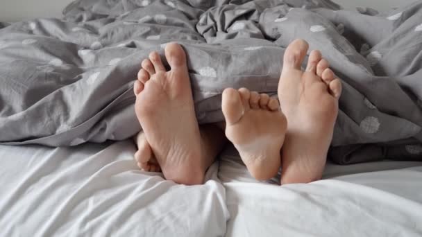 柔らかいベッドの上で暖かく居心地の良い毛布の下で幸せなカップルの足の閉鎖 この映像は 快適な家庭環境の中で愛 リラクゼーション そして連帯の本質を捉えています — ストック動画