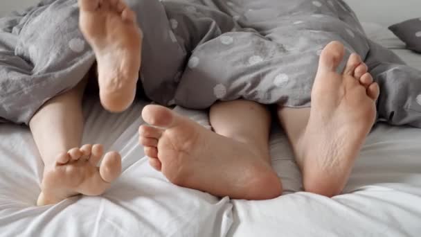 Fridfull Och Tröstande Bild Lyckliga Familjens Fötter Fastnade Filten Perfekt — Stockvideo