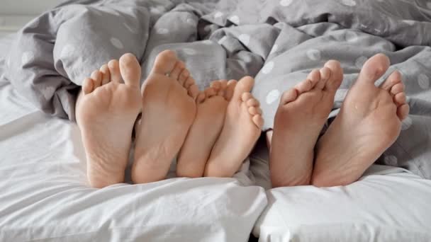Ebeveyn Çocuğun Ayaklarının Rahat Bir Yatakta Battaniyenin Altında Ritme Göre — Stok video
