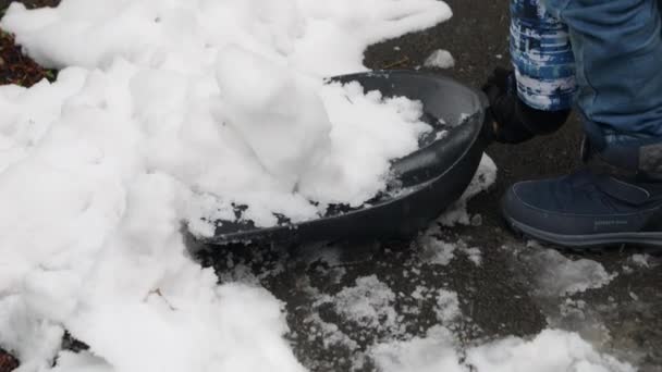 小さな男の子は 吹雪や吹雪の後にシャベルで裏庭や歩道から雪を取り除くことが示されています 冬の家事を手伝うための子供の努力と献身 — ストック動画
