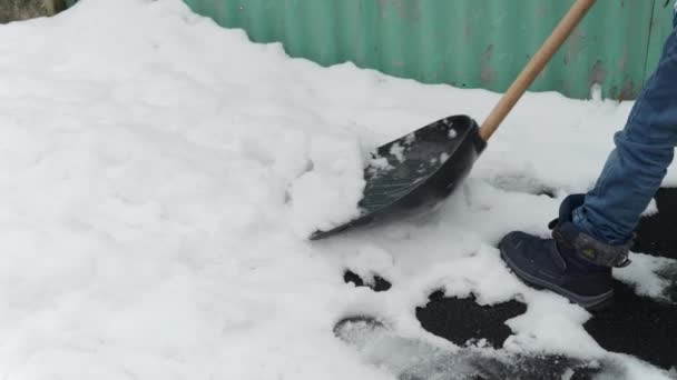 小男孩用铲子清理后院或人行道上的雪 这段视频突出了冬季 除雪和儿童发展的概念 — 图库视频影像