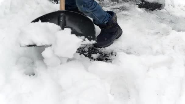 Молодой Мальчик Трудолюбиво Очищает Задний Двор Дорожку Снега После Метели — стоковое видео