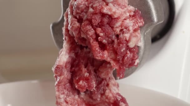 분쇄기에서 덩어리로 고기가 그릇에 떨어지는 막았습니다 집에서 요리하는 건강에 햄버거 — 비디오