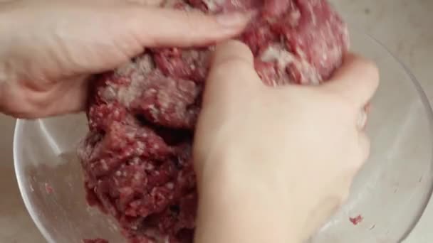Primer Plano Mano Femenina Batiendo Mezclando Carne Picada Con Especias — Vídeo de stock