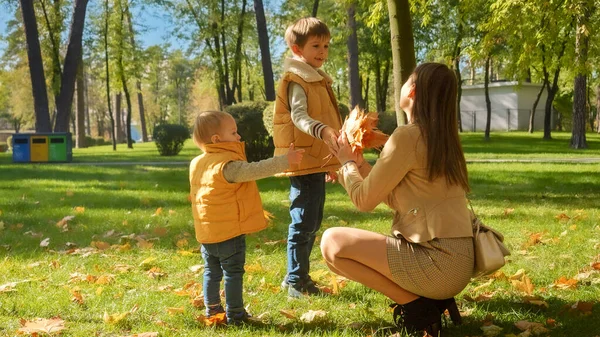 快乐的年轻母亲和两个儿子在公园采摘秋天的叶子 家庭户外 快乐的养育和童年 秋天的风景 — 图库照片