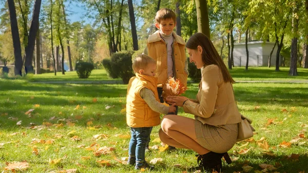 Szczęśliwa Uśmiechnięta Matka Dwoma Chłopcami Zbierającymi Jesienne Liście Drzew Parku — Zdjęcie stockowe