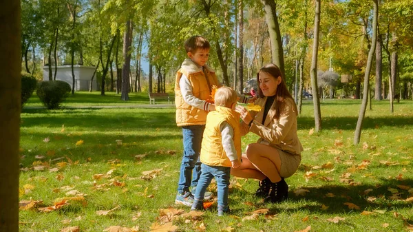 Két Boldog Fiú Őszi Leveleket Gyűjt Odaadja Anyának Parkban Család — Stock Fotó