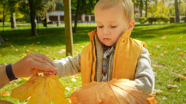 Portrait Little Baby Boy Giving Yellow Autumn Tree Leaves Mother — Stock Photo, Image