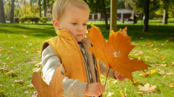 一个可爱的小男孩站在秋天的公园里 黄色的树叶落在他身上的画像 户外儿童 快乐的儿童和童年 秋天的风景 — 图库照片