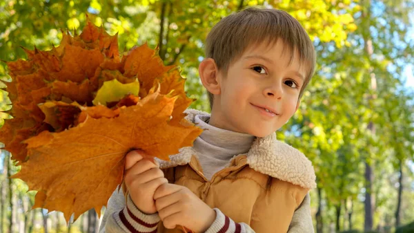 Portrét Roztomilého Chlapce Držícího Podzimní Javorové Listy Hledícího Kamery Parku — Stock fotografie