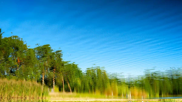 Abstract Shot Trees Park Reflecting Lake Water Surface Natural Background — Stock Photo, Image