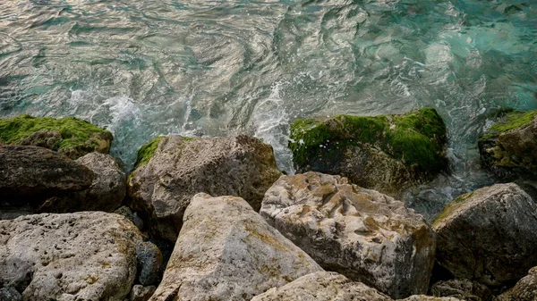 Φύκια Και Φύκια Κάλυπταν Βράχους Που Πλένονταν Από Κύματα Αργή — Φωτογραφία Αρχείου