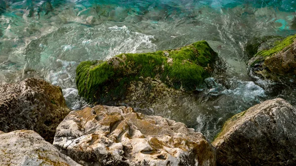 这幅海浪拍打在岩石上 海藻生长在岩石上的画面捕捉到了大海的美丽 — 图库照片