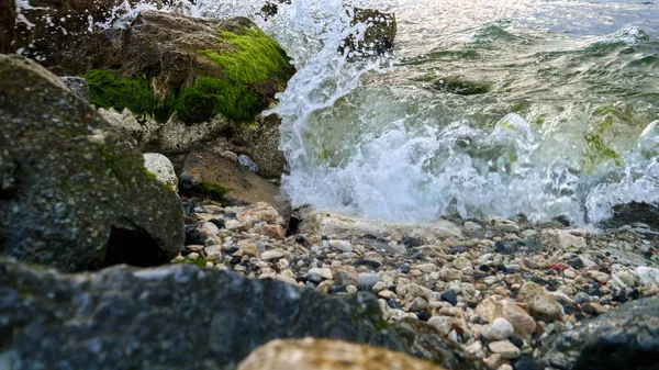 海浪在海滩上翻滚 随着海草和海藻的生长冲破了岩石和悬崖 美丽的风景 自然背景 海洋背景 — 图库照片