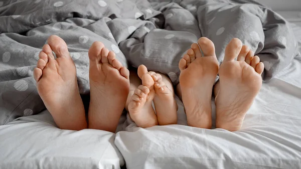 Closeup of family bare feet lying together on bed under blanket.