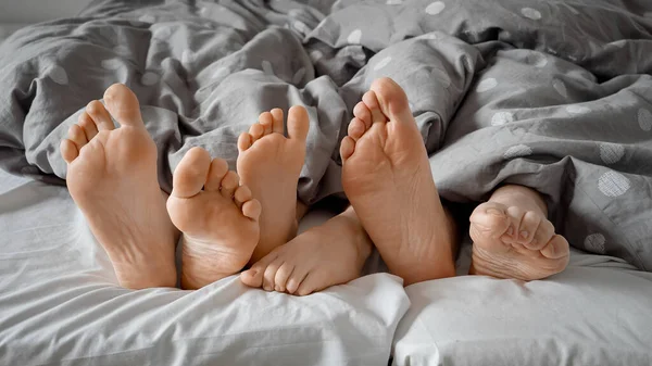 Zblízka Zpod Přikrývky Ráno Vynořovaly Nohy Rodičů Dětí Pojem Sounáležitosti — Stock fotografie