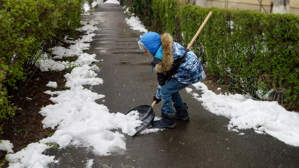 Mały Chłopiec Sprzątający Podwórko Lub Chodnik Śniegu Łopatą Śnieżycy Lub — Zdjęcie stockowe