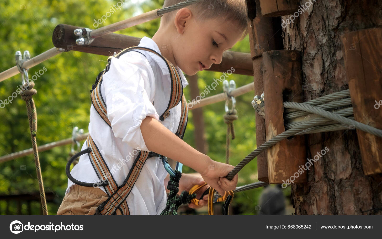 Little Boy Clamping Safety Rope Hooks Tree While Climbing Rope — Stock  Photo © Kryzhov #668065242