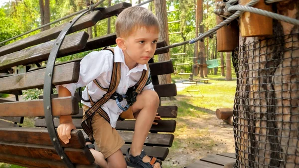 Mały Chłopiec Czołgający Się Przez Przeszkodę Parku Linowym — Zdjęcie stockowe