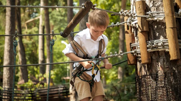 Menino Ligando Sua Corda Segurança Gancho Antes Subir Árvore Parque — Fotografia de Stock