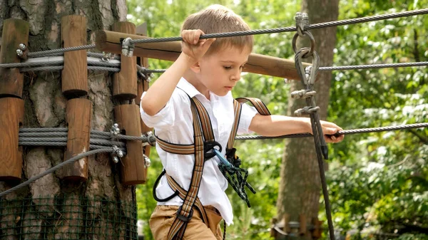 Портрет Храброго Мальчика Идущего Через Препятствия Веревочном Парке Лесу Детский — стоковое фото
