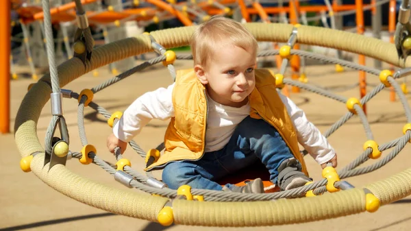Kisfiú Kint Játszik Hintázik Fészekben Gyerekek Kültéri Játékkal Gyerekek Kint — Stock Fotó