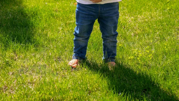 新鮮な緑の芝生の芝生の上に立ってジーンズで赤ちゃんの足の閉鎖 屋外の子供 自然の中の子供 外で遊ぶ赤ちゃん — ストック写真