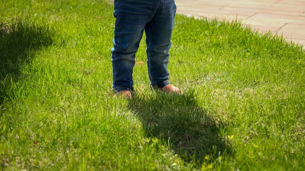 Маленький Босоногий Мальчик Джинсах Стоящий Зеленой Газоне Дети Открытом Воздухе — стоковое фото