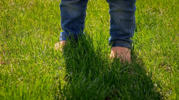 Zbliżenie Małych Stóp Dziecka Dżinsach Stojących Zielonym Trawniku Dzieci Świeżym — Zdjęcie stockowe
