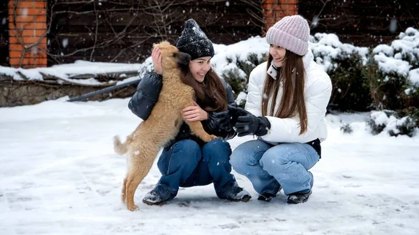 Alegre Perro Jugando Con Dos Chicas Adolescentes Nieve Frío Día — Foto de Stock