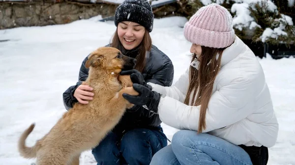 Perro Jugando Con Chicas Nieve Niños Con Animales Juegos Con — Foto de Stock