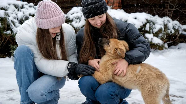 Due Ragazzine Che Giocano Con Cani Sulla Neve Giardino Bambini — Foto Stock