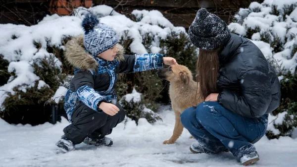 Ragazzino Adolescente Che Giocano Divertono Con Cane Nella Neve Bambini — Foto Stock