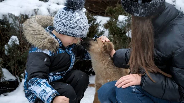 Roztomilý Pes Líbání Hraní Klukem Dospívající Dívka Sněhu Zimní Den — Stock fotografie