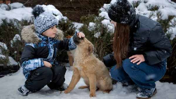 Šťastné Děti Hrají Psem Dvorku Během Sněžení Děti Zvířaty Hry — Stock fotografie
