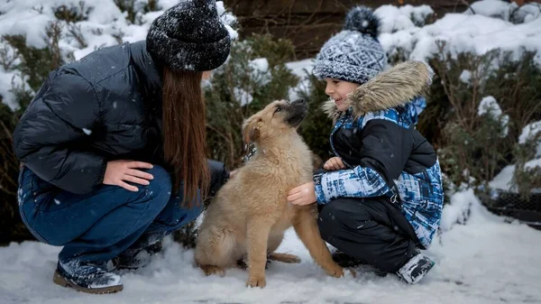 Cão Bonito Com Menina Adolescente Jogando Livre Dia Inverno Nevado — Fotografia de Stock