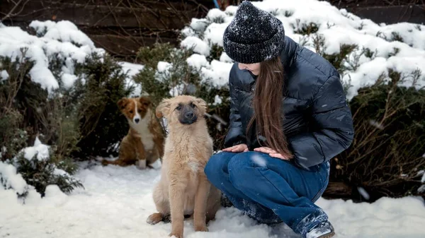 Glad Leende Flicka Leker Med Sin Glada Hund Snön Utomhus — Stockfoto